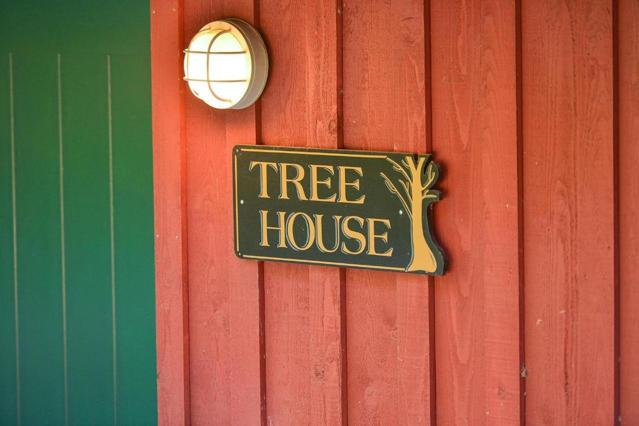 Salishan Tree House Suite خليج كويتشان المظهر الخارجي الصورة