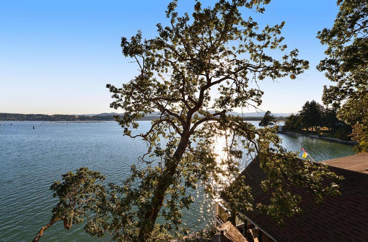 Salishan Tree House Suite خليج كويتشان المظهر الخارجي الصورة