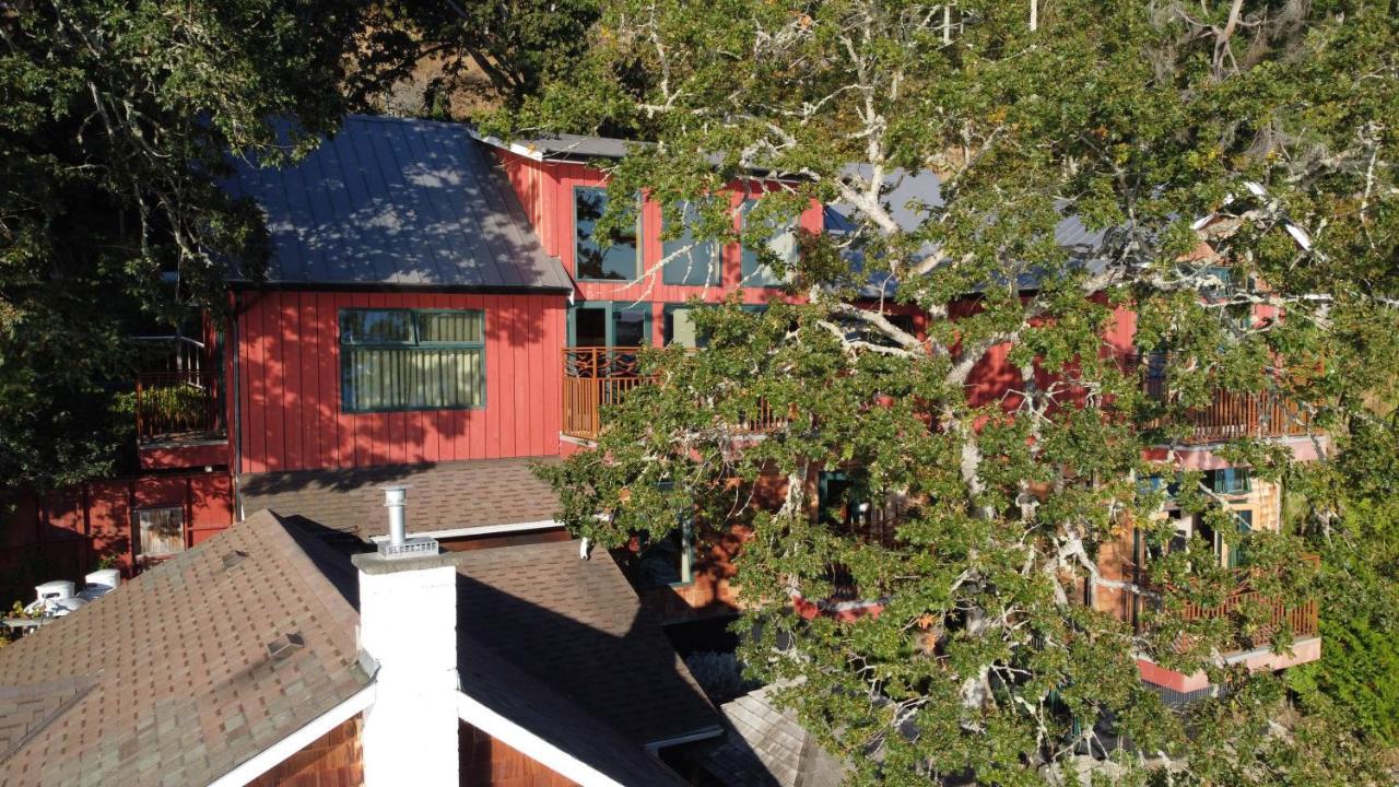 Salishan Tree House Suite خليج كويتشان المظهر الخارجي الصورة